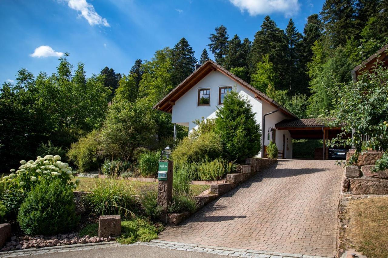 פרוידנשטאדט Schwarzwald Chalets מראה חיצוני תמונה